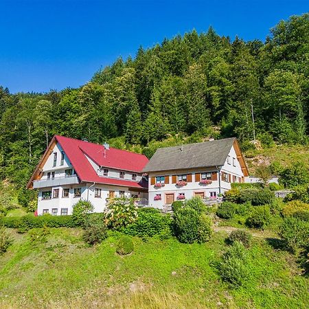 Apartmán Haus Niedermaettle Oppenau Exteriér fotografie