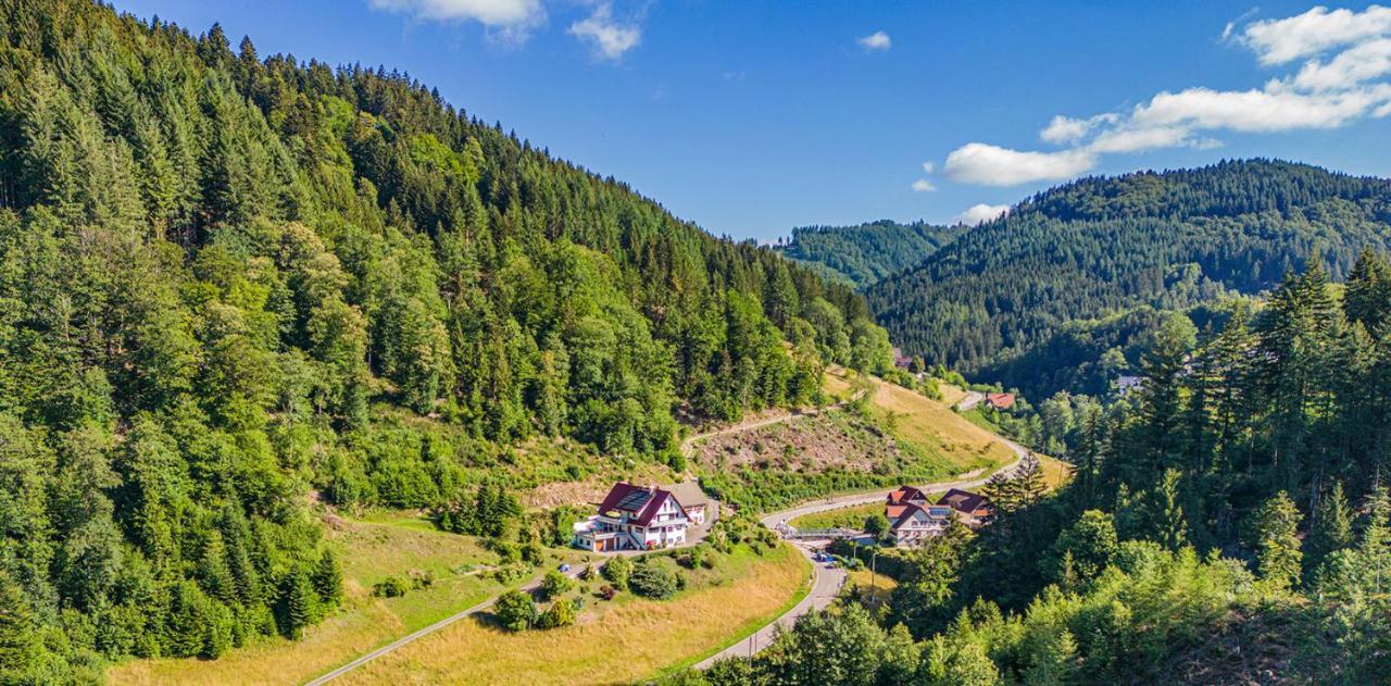Apartmán Haus Niedermaettle Oppenau Exteriér fotografie