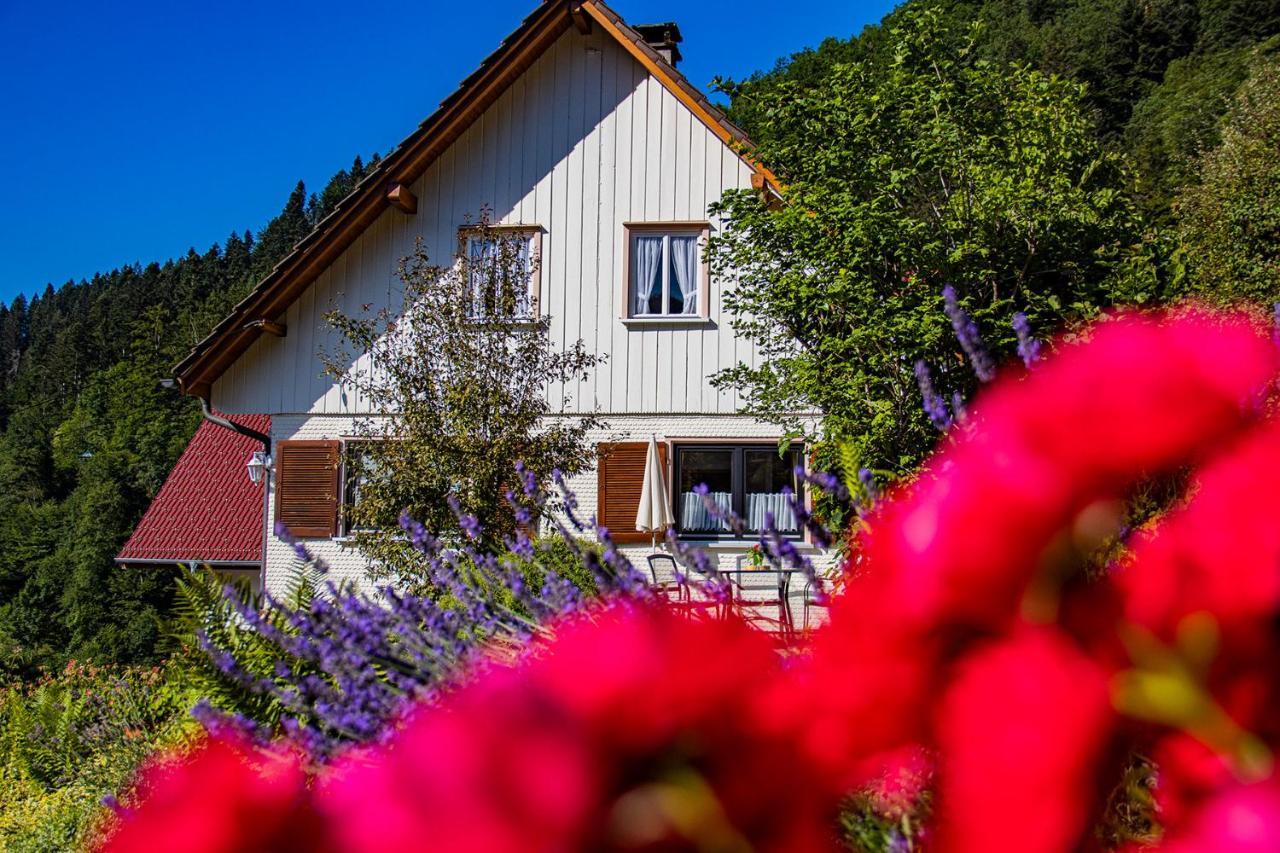 Apartmán Haus Niedermaettle Oppenau Exteriér fotografie