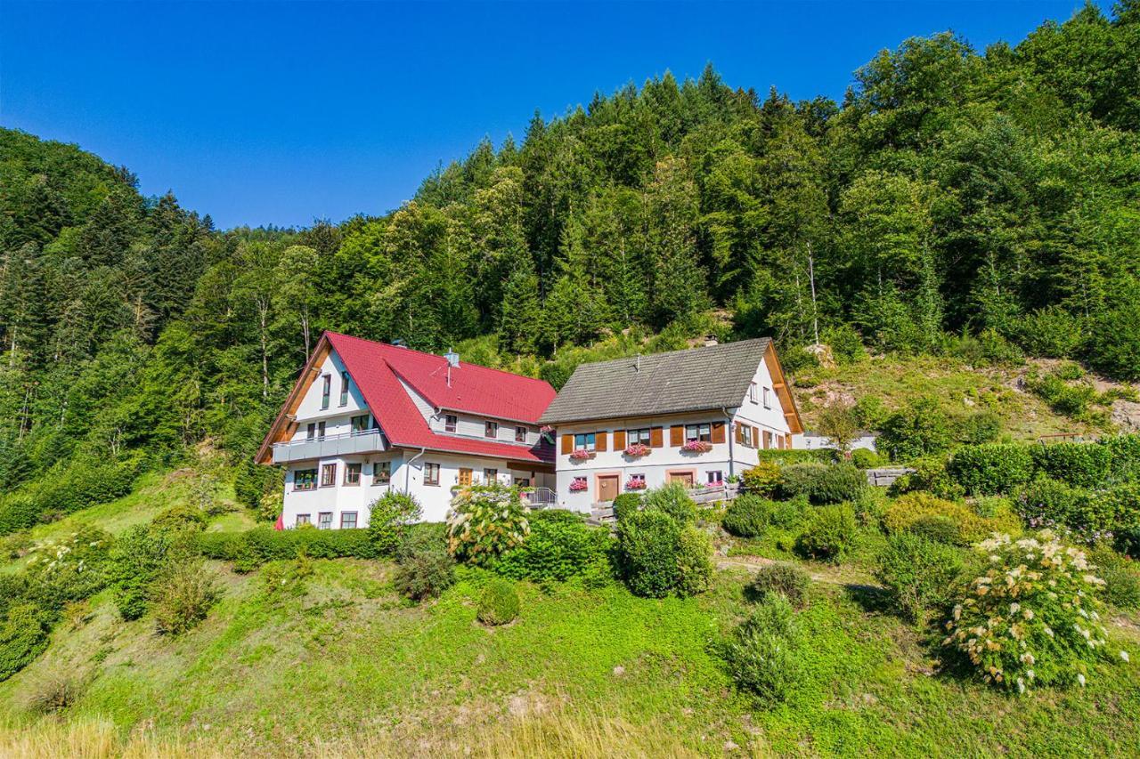 Apartmán Haus Niedermaettle Oppenau Exteriér fotografie