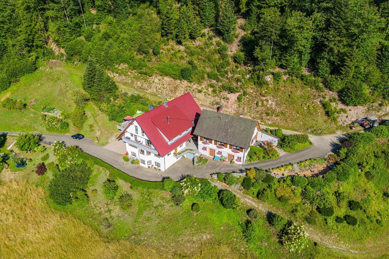 Apartmán Haus Niedermaettle Oppenau Exteriér fotografie