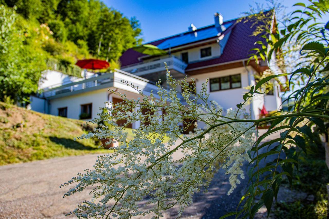 Apartmán Haus Niedermaettle Oppenau Exteriér fotografie